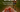 Bowl of red energy chews promoting portable, easy-to-digest running fuel with a blurred runner in background.